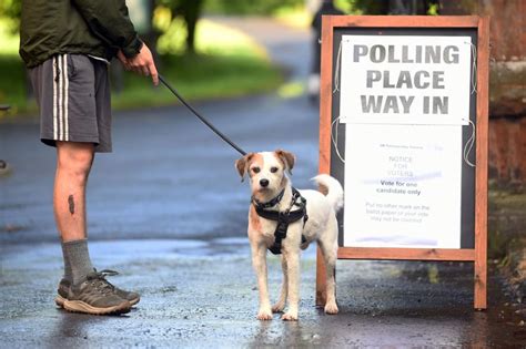 17 adorable pictures of dogs at polling stations as country votes in .